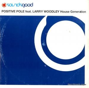 POSITIVE POLE - house generation - GOOD120