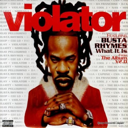2LPバスタライムス ザカミングBUSTA RHYMES THE COMING BUSTA RHYMES / The Coming (61742-1, 2LP) – TICRO MARKET