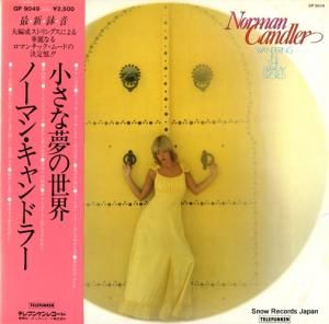 Ρޥ󡦥ɥ顼 ̴ GP9049