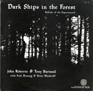 ����󡦥��С��ġ��ȥˡ����Х��� dark ships in the forest FSI65