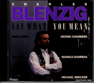 CD: 㡼륺֥ĥ - say what you mean - BW2009