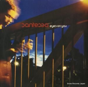 ƥå eyes on you DVS-1007-VT