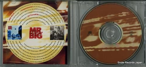 CD: ミスター・ビッグ -