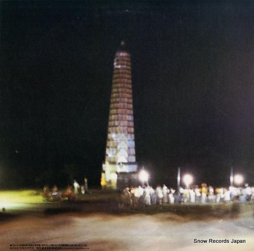 チューリップ - 8・11パゴ