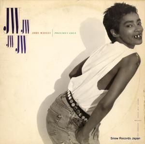 ǥȥ꡼ precious love (extended version) MCA-24010