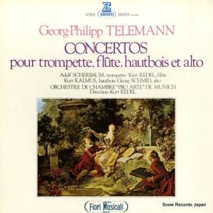 ȡ졼ǥ ƥޥ󡧥ȥڥåȡե롼ȡܥ鶨նʽ ERA1029