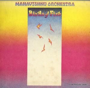 ޥϥ̡ȥ birds of fire KC31996