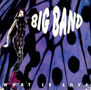 BIG BAND what is love TRD1332