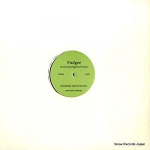 PUDGEE everybody want to be hard / inner city blues TS0001