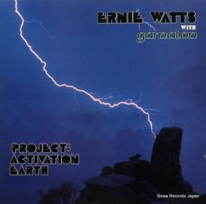 ˡå project : activation earth AMH3320