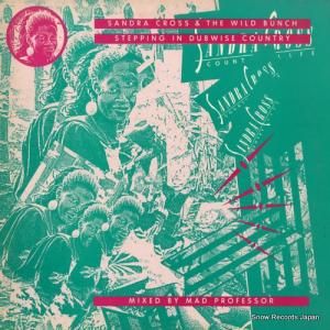 ɥ顦 stepping in dubwise country ARILP031