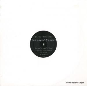 クリス・ミッチェル feng shui flow VS007