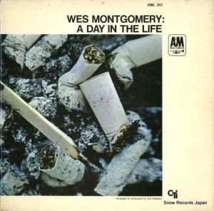 󥴥꡼ ǥ󡦥饤 AML301