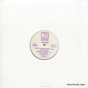 THE VISION laidback & groovy NG080A