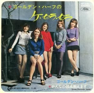 ǥ󡦥ϡ - 顦 - TP-2361