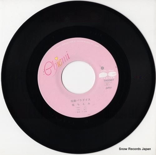 堀ちえみ - 稲妻パラダイス