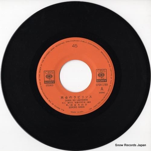 河合その子 - 再会のラビリン