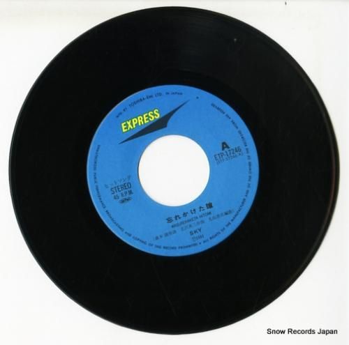 スカイ - 忘れかけた瞳 -