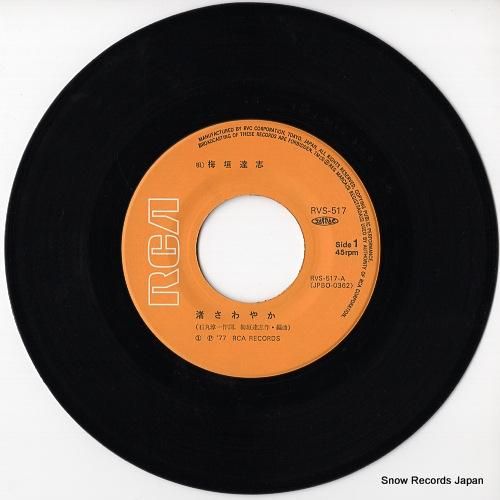 梅垣達志 - 渚さわやか -