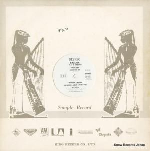 Х ե󥭡ʥޥ GP-267