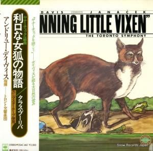 ɥ塼ǥ ʡʽѤʪ 25AC462