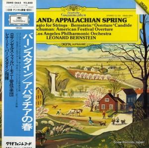 ʡɡС󥹥ƥ ץɡѥν 28MG0663