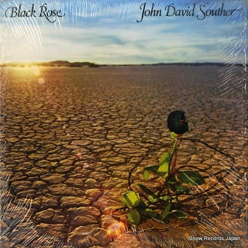 ジョン・デイヴィッド・サウザー