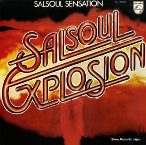 륽롦󥻥 Υ󥸥󡧥륽롦ץ RJ-7095