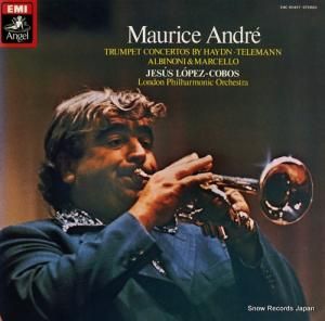 ⡼ꥹɥ - ϥɥ󡧥ȥڥåȶն - EAC-80497