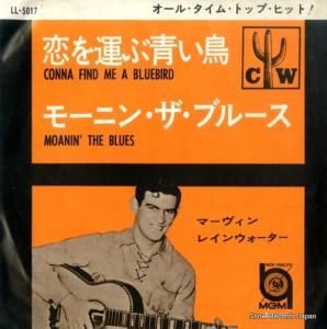 ޡ󡦥쥤󥦥 - 򱿤ĤĻ - LL-5017