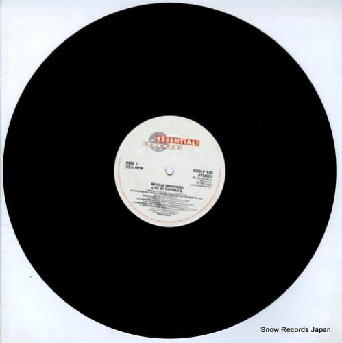 ネヴィル・ブラザーズ - li