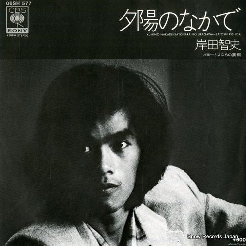 岸田智史 - 夕陽のなかで -