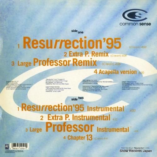 コモン・センス - resur