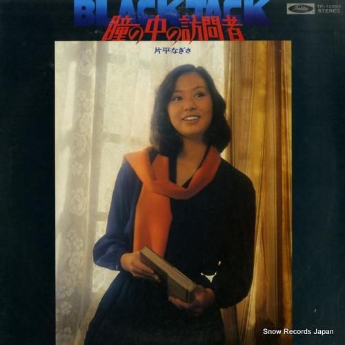 片平なぎさ - 瞳の中の訪問者