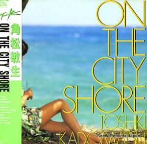 Ѿ on the city shore RAL-8805