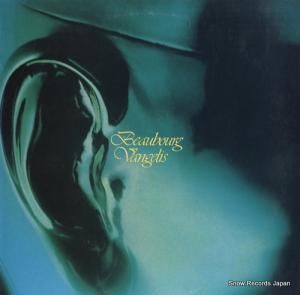 󥲥ꥹ δ RVP-6312