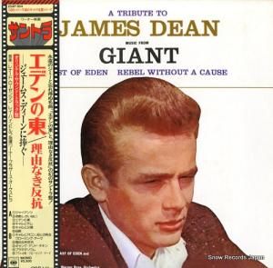 レイ・ハインドルフ エデンの東/理由なき反抗/ジェームス・ディーンに捧ぐ 25AP804