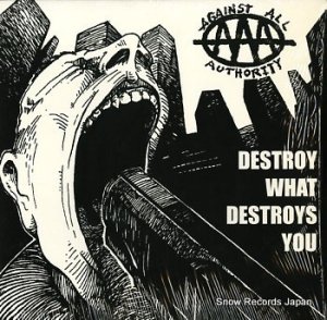 󥹥ȡ롦ƥ destroy what destroys you AAA-01