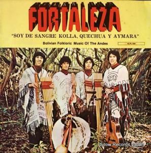 ե륿å soy de sangre kolla, quechua y aymara RLPL-506