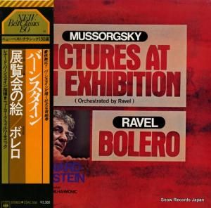 ʡɡС󥹥 ॽ륰Ÿγ 23AC556