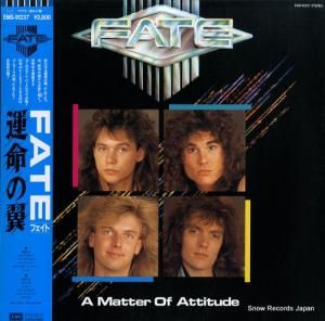フェイト 運命の翼 EMS-91237