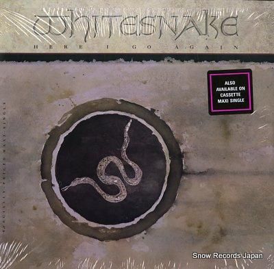 ホワイトスネイク here i