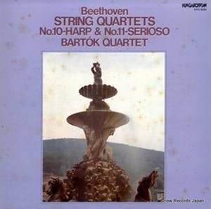 Хȡڻͽ ١ȡ󡧸ڻͽ裱֥֡ϡס K17C9384