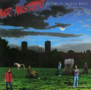 MR. ߥ welcome to the real world AFL1-7180