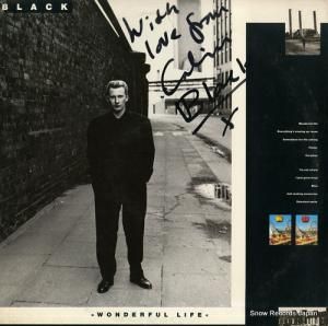 ֥å wonderful life SP5165