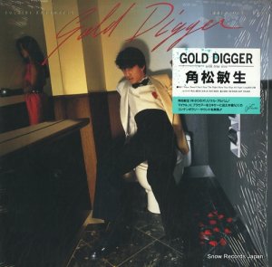 Ѿ gold digger RAL-8824