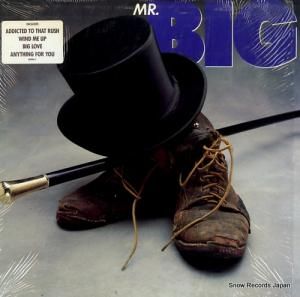 ߥӥå mr. big 781990-1