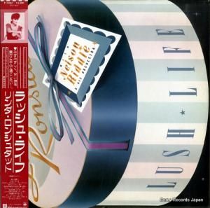 󥷥奿å å塦饤 P-13067