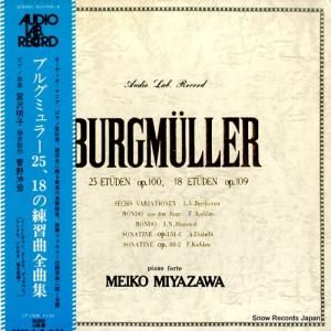  ֥륰ߥ顼ʽ ALC-1005