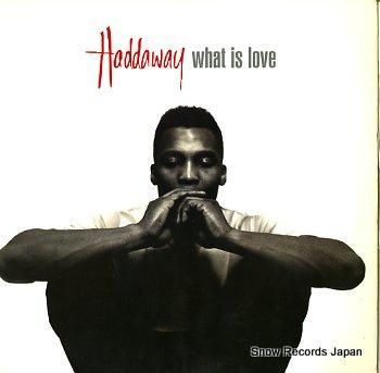 ハダウェイ what is love 07822-12574-1 | レコード買取